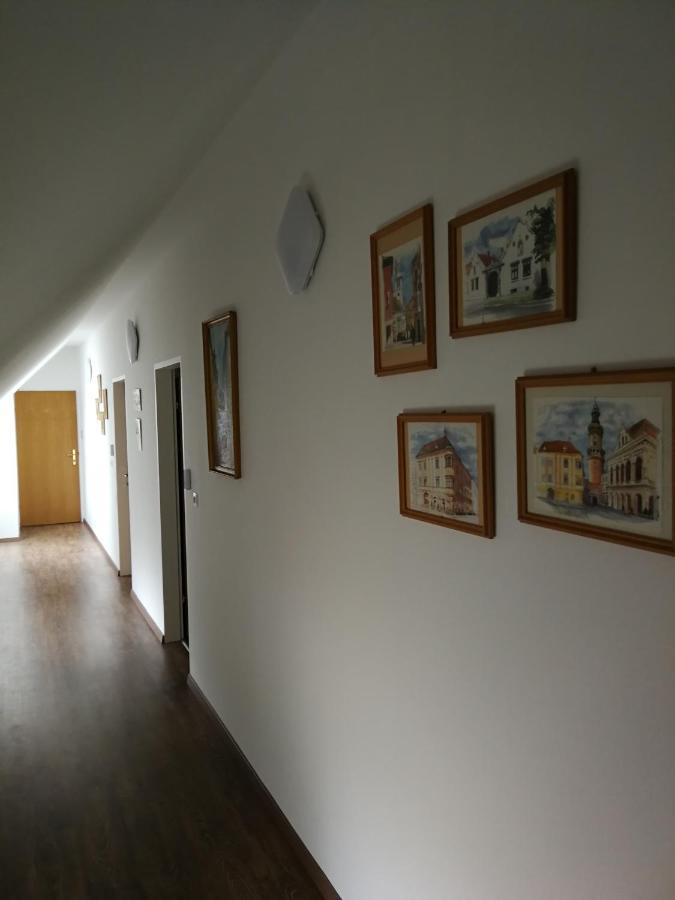 Levanda Panzio Kópháza Exteriér fotografie