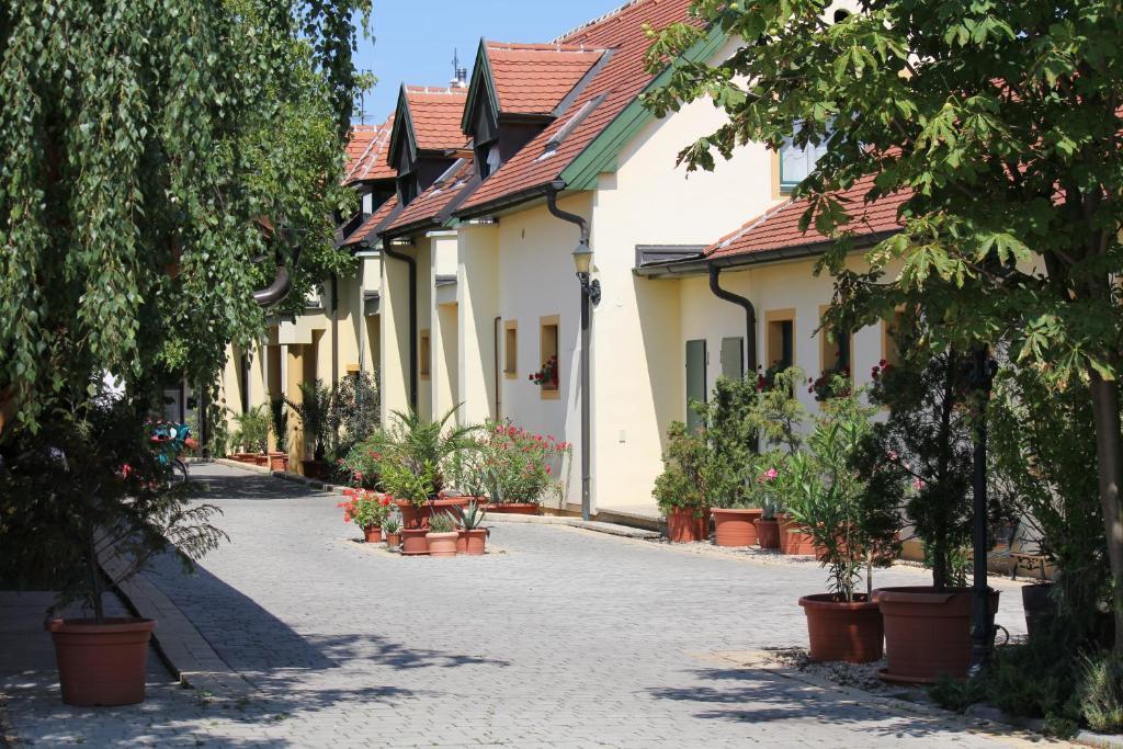 Levanda Panzio Kópháza Exteriér fotografie