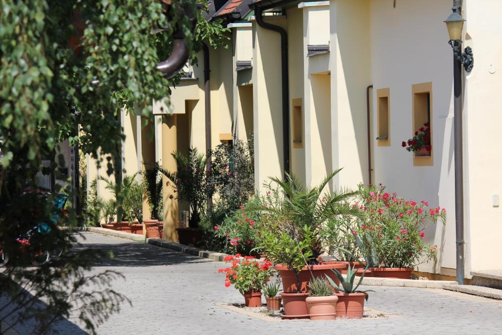 Levanda Panzio Kópháza Exteriér fotografie